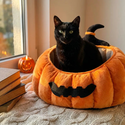 Pumpkin Cat Bed